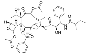 Dihydrocephalomannine 159001-25-9